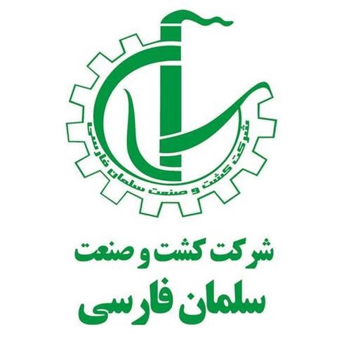 لوگوی کشت و صنعت نیشکر سلمان فارسی